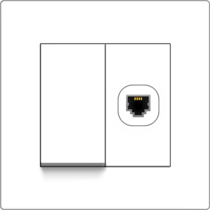 B1000 1 Gang Switch w/ ...