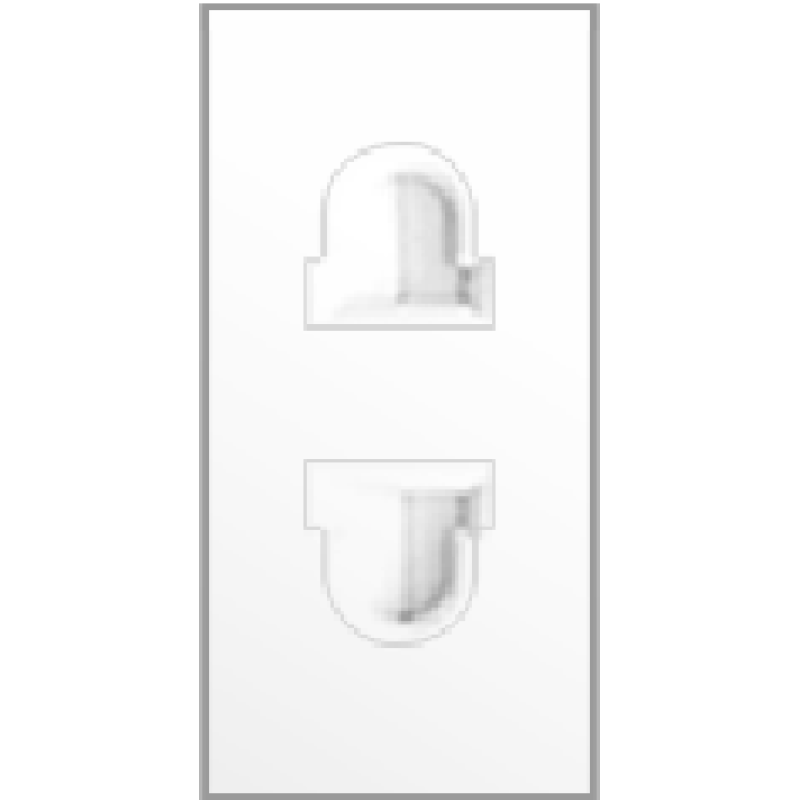 2 Pin Socket Outlet