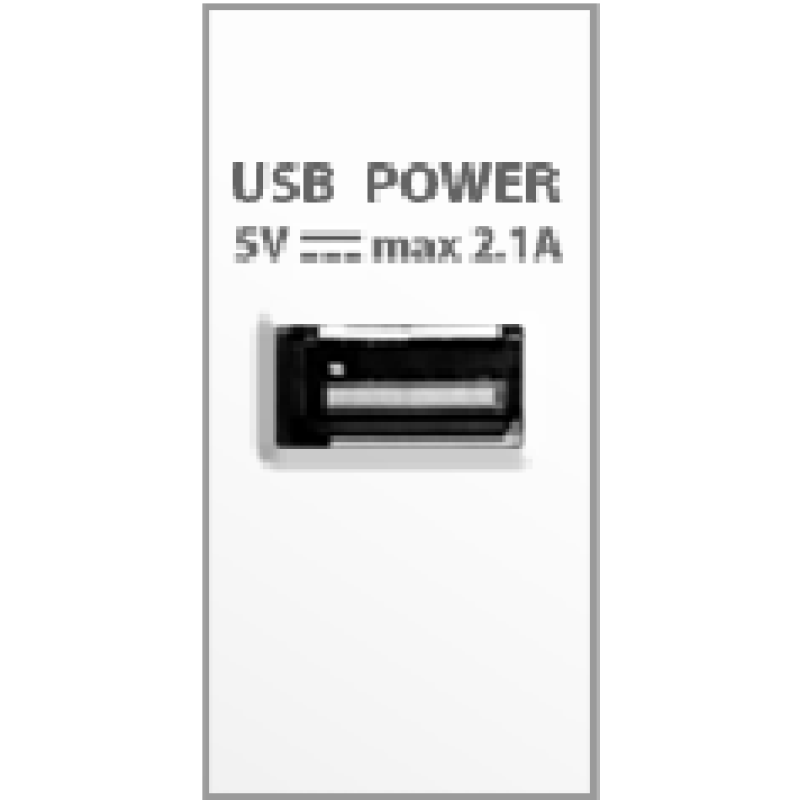USB Charger Outlet 2.1A/5V~