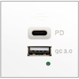 Dual USB charger (Type A ...