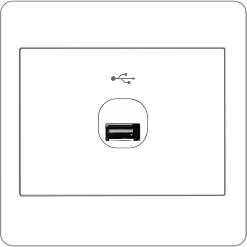 B2000L 1 Gang USB Connection Outlet