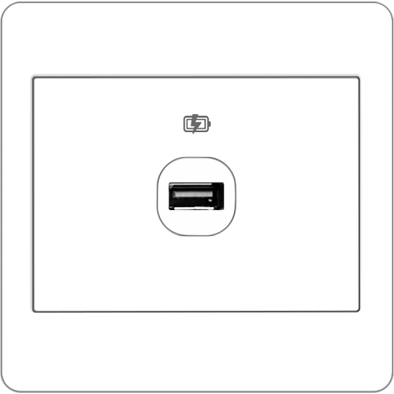 B2000L 1 Gang USB Charger Outlet