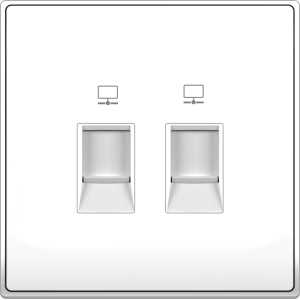 B5000 2 Gang CAT6 Data ...