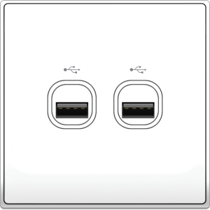 B5000 2 Gang USB Connection ...