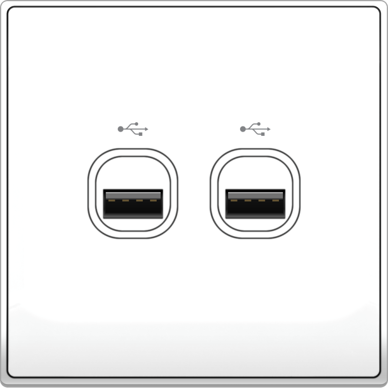 B5000 2 Gang USB Connection B5000 2 Gang USB Connection