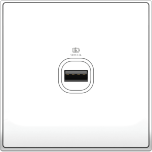 B5000 1 Gang USB Charger ...