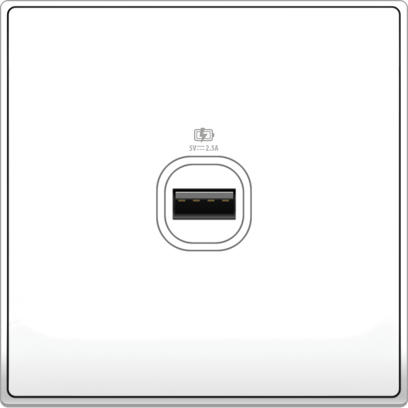 B5000 1 Gang USB Charger w/ Screw Terminal B5000 1 Gang USB Charger w/ Screw Terminal