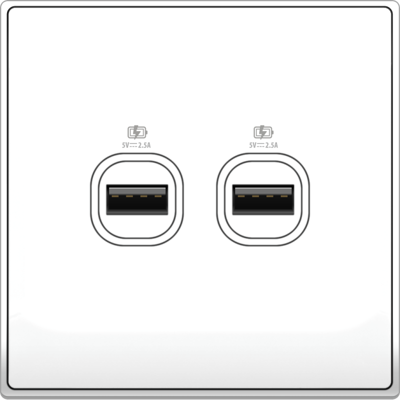 B5000 2 Gang USB Charger w/ Screw Terminal