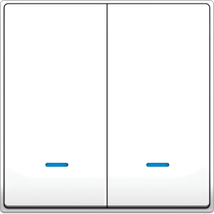 B5000 2 Gang Switch w/ ...