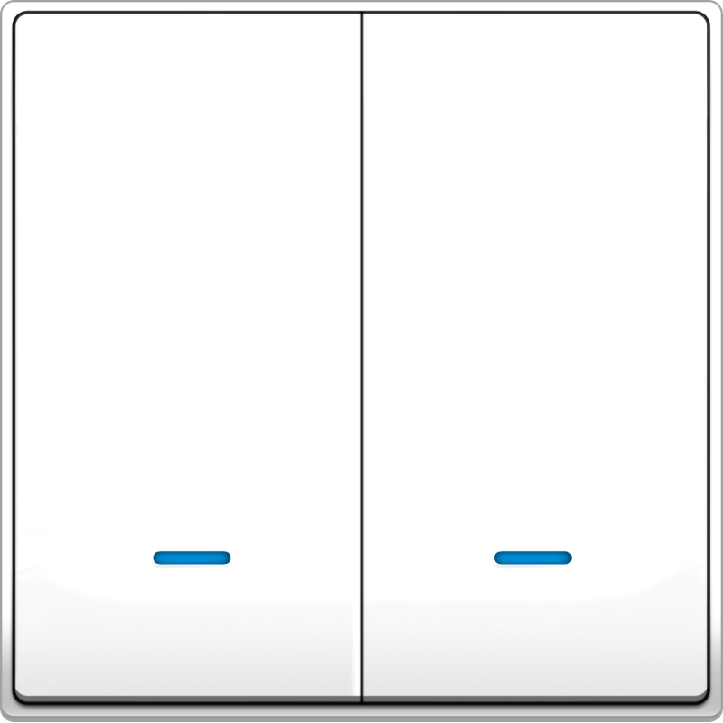 B5000 2 Gang Switch w/ Blue LED Indicator B5000 2 Gang Switch w/ Blue LED Indicator