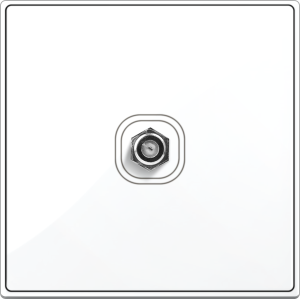 B5000S 1 Gang F-Type TV ...