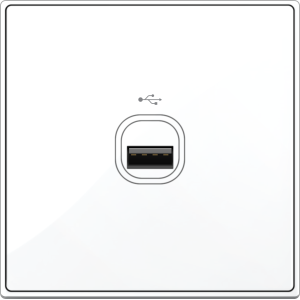 B5000S 1 Gang USB Connection ...