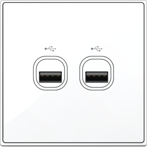 B5000S 2 Gang USB Connection ...