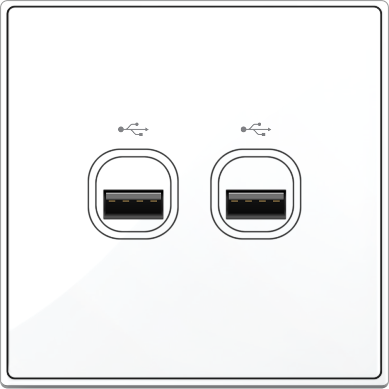 B5000S 2 Gang USB Connection