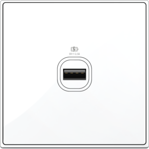 B5000S 1 Gang USB Charger ...