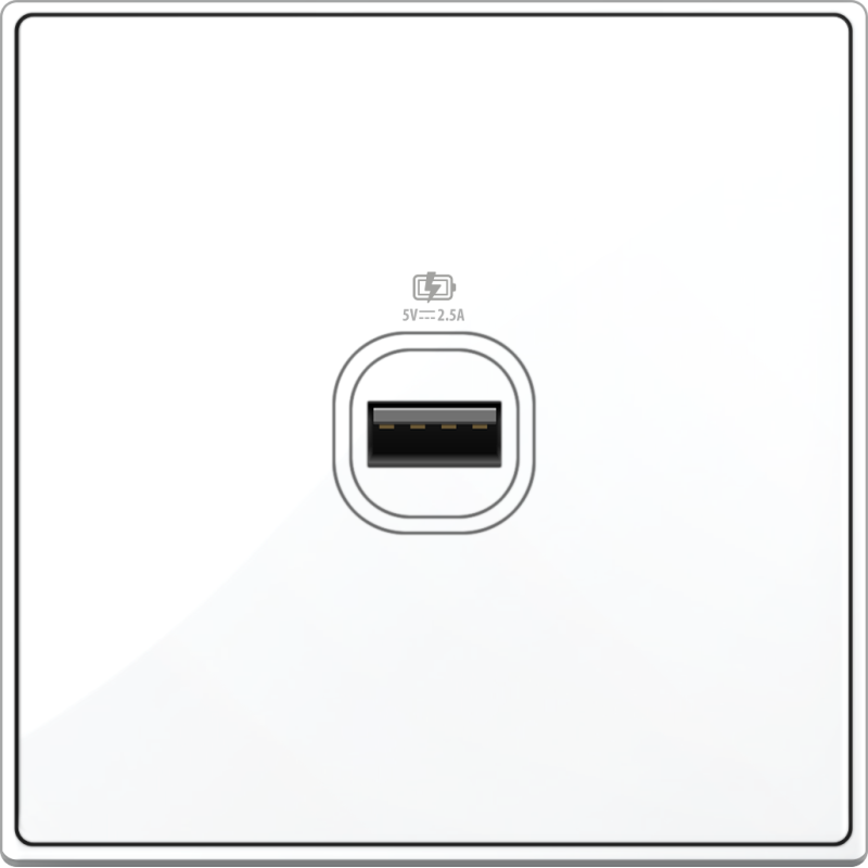 B5000S 1 Gang USB Charger w/ Screw Terminal