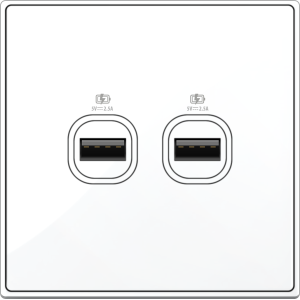 B5000S 2 Gang USB Charger ...