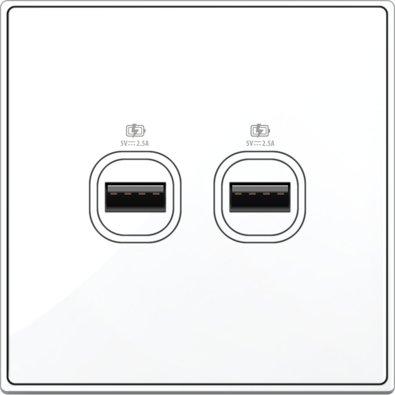 B5000S 2 Gang USB Charger w/ Screw Terminal