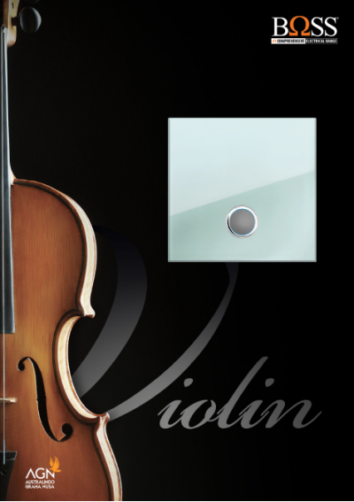 Violin