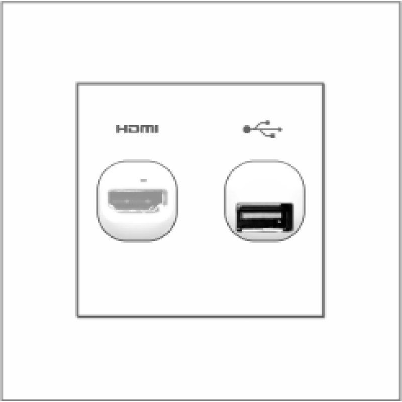 B1000 HDMI Outlet + USB Connection Outlet