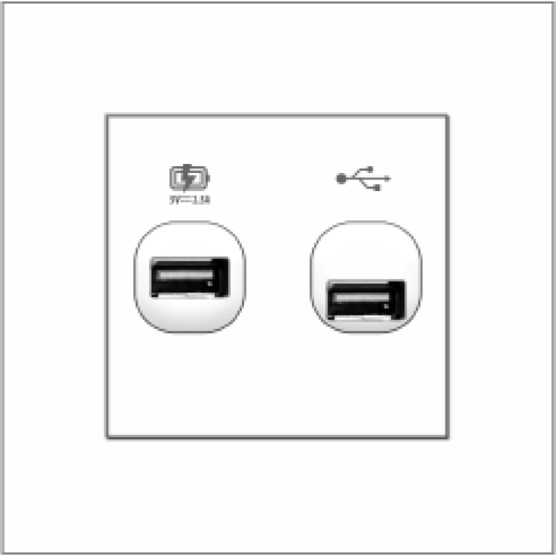 B1000 2.5A USB Charger + USB Connection