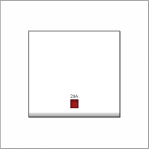 B1000 Double Pole Large Switch ...