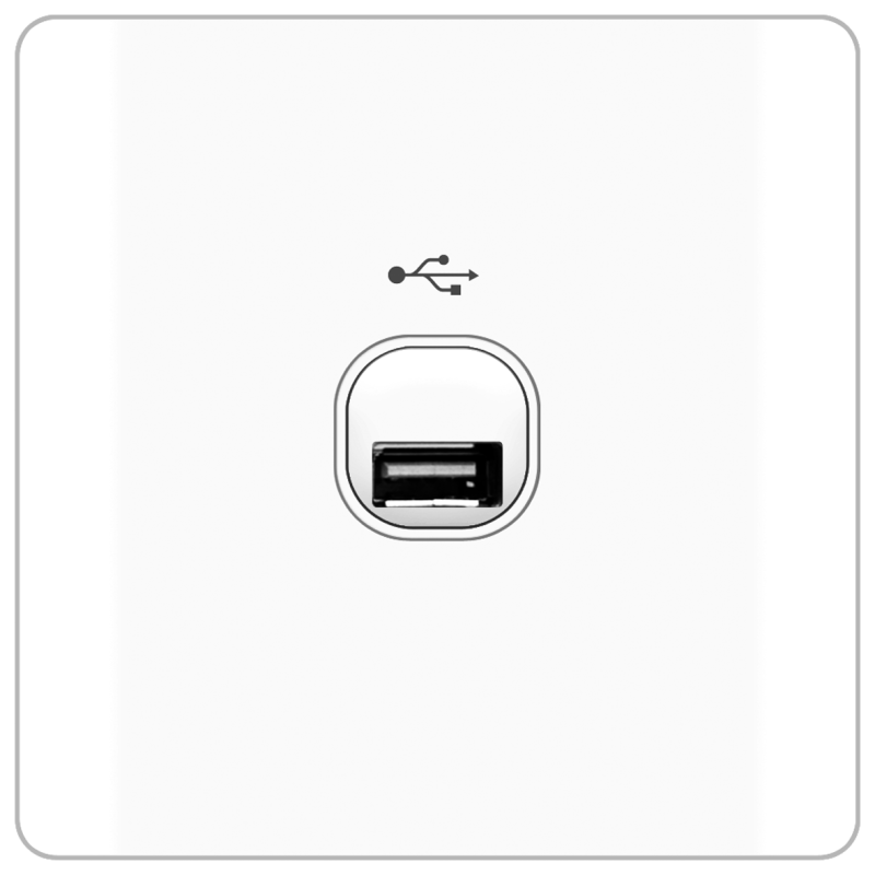 B20 1 gang USB connection outlet