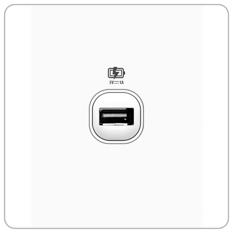 B20 1 Gang USB Charger Outlet  w/ Screw Terminal