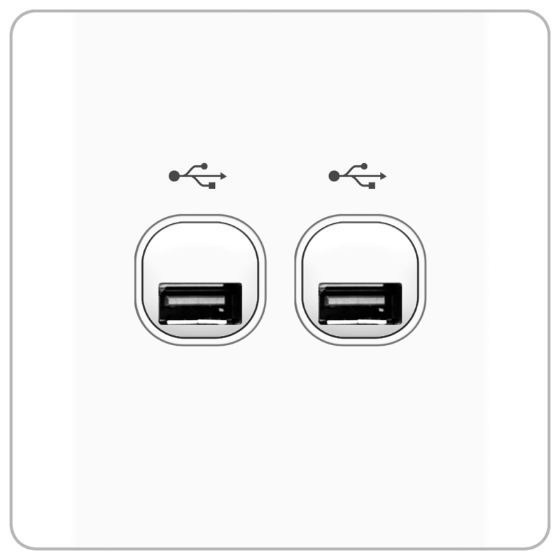 B20 2 gang USB connection 