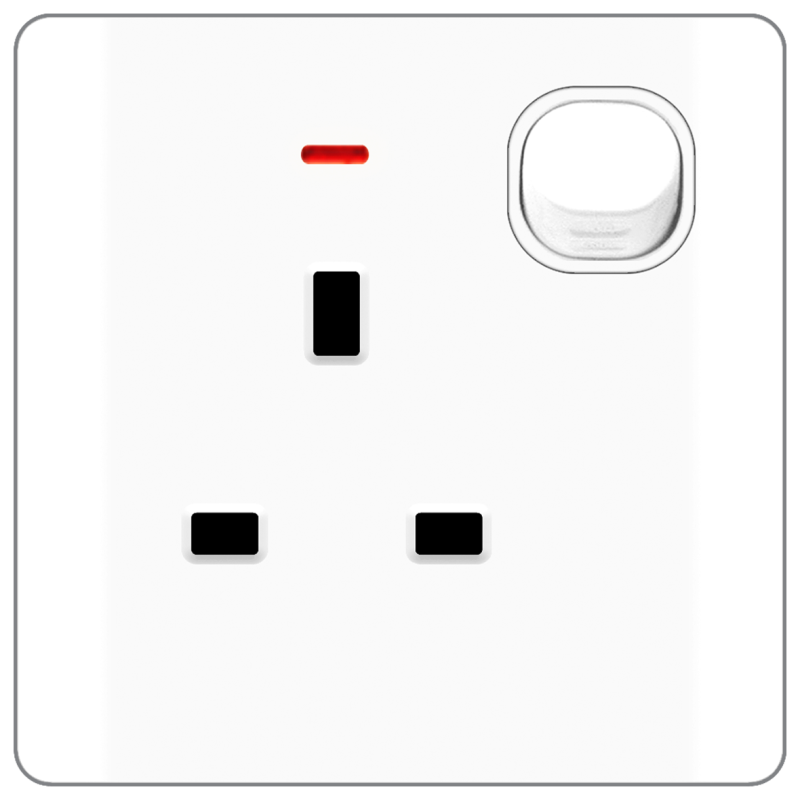 B20 BS socket outlet w/ switch & neon