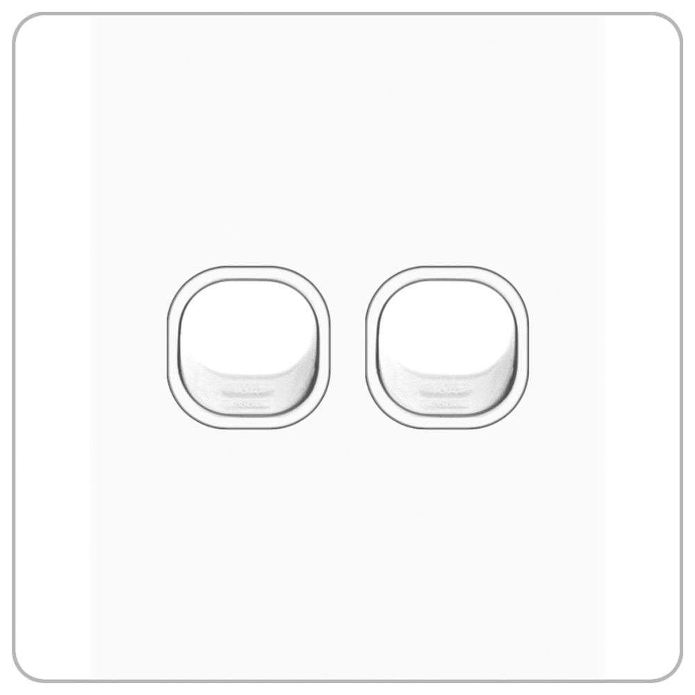 B20 2 Gang Switch b20-2-gang-switch