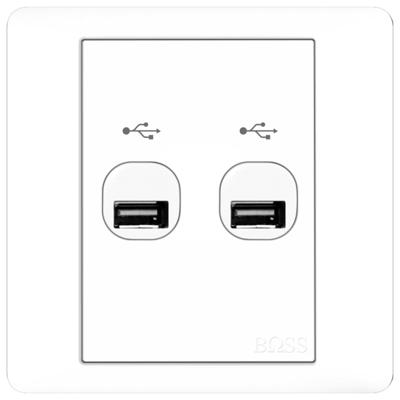 B2000 2 Gang USB Connection
