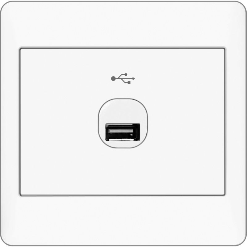 B2000L 1 Gang USB Connection Outlet