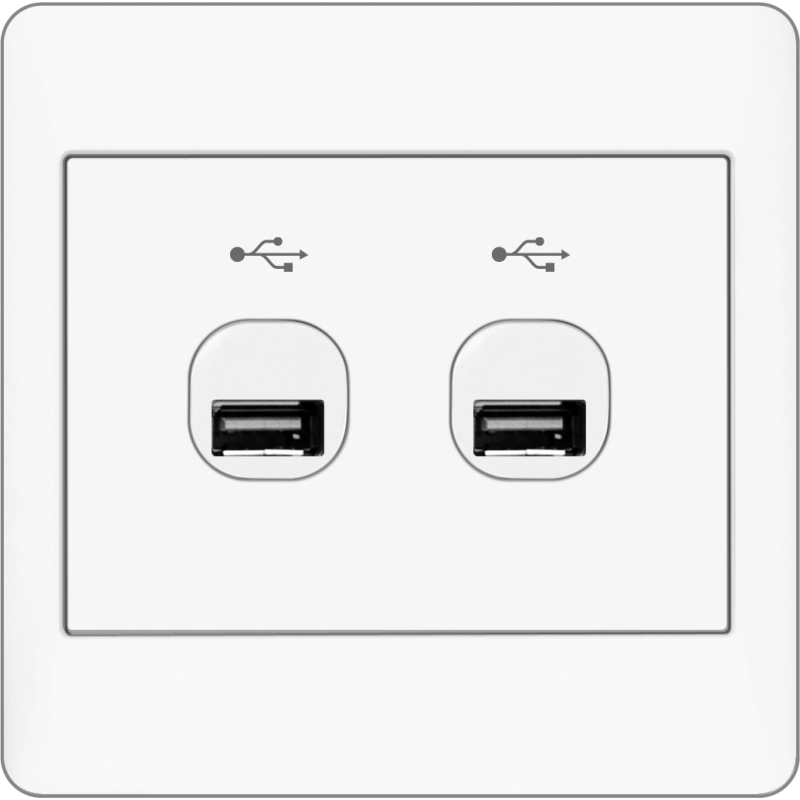 B2000L 2 Gang USB Connection Outlet