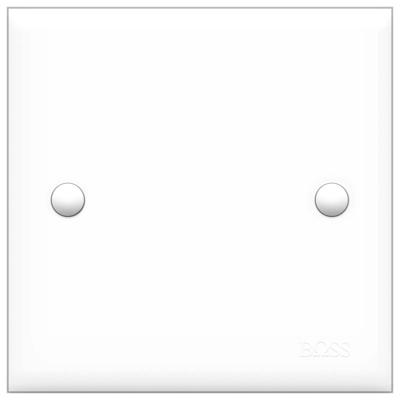 B30 1 gang blank plate