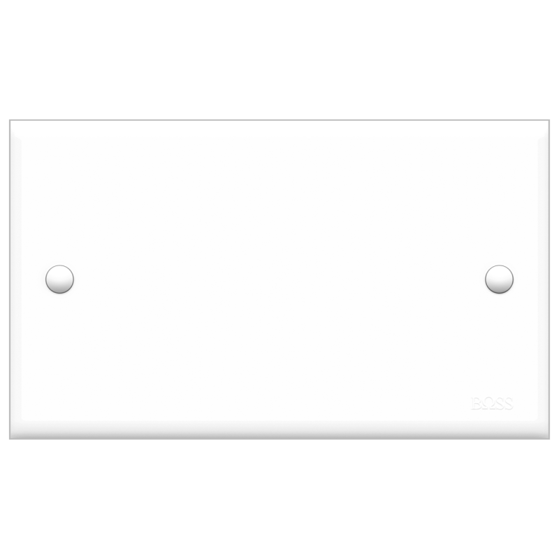 B30 twin gang blank plate