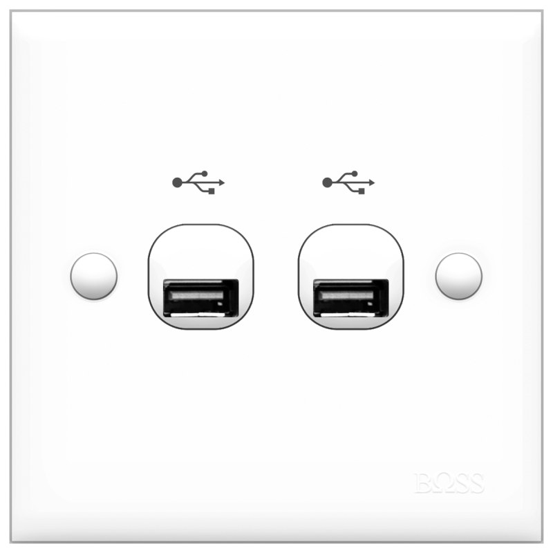 B30 2 gang USB connection