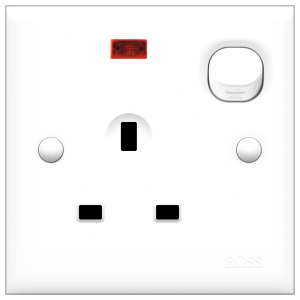 B30 BS socket outlet w/ switch & neon