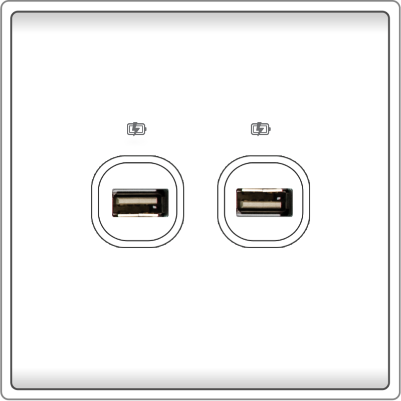 B5000 2 Gang USB Charger w/ Screw Terminal