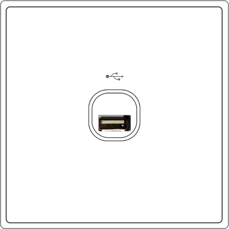 B5000S 1 Gang USB Connection
