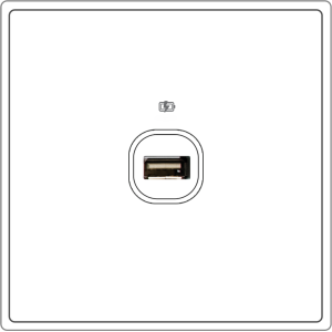 B5000S 1 gang USB charger w/ screw terminal