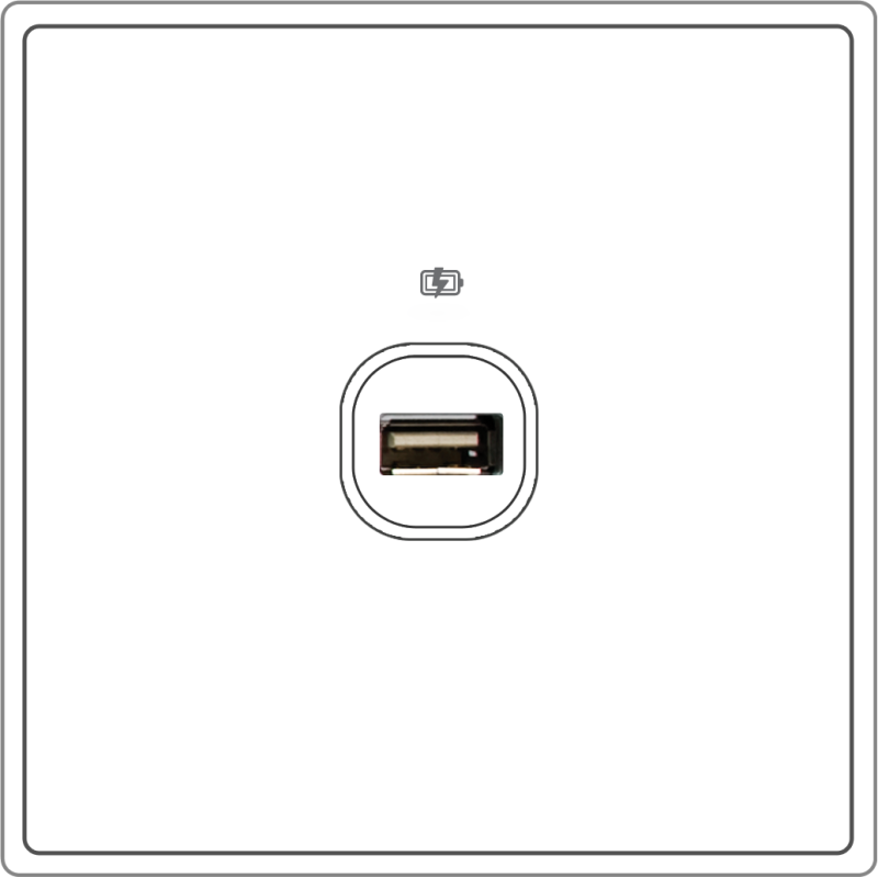 B5000S 1 Gang USB Charger w/ Screw Terminal