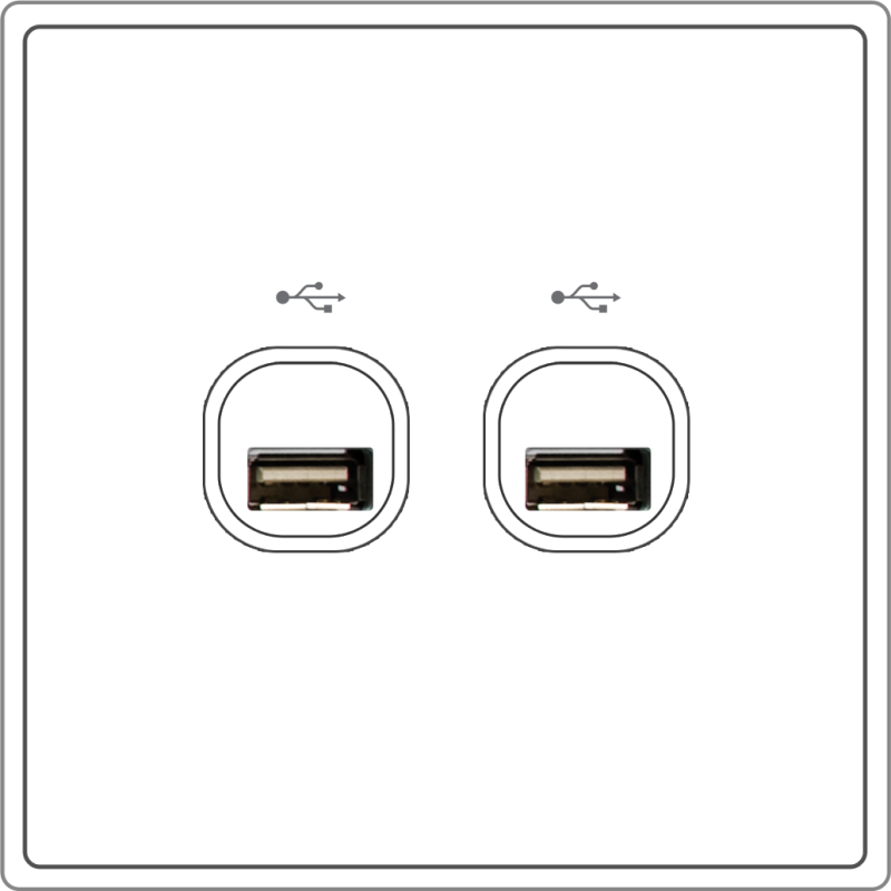 B5000S 2 Gang USB Connection