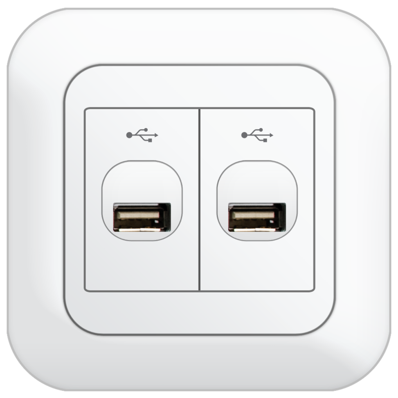 B80 2 Gang USB Connection