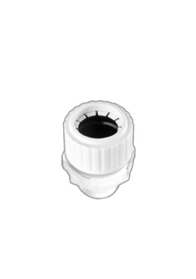 glands 20 mm