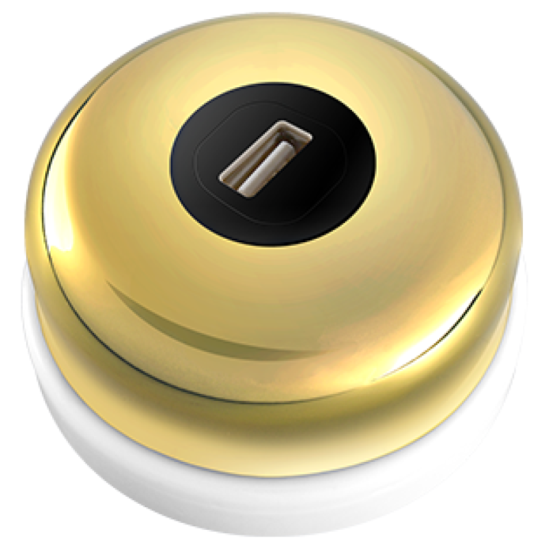 Vintage Gold 1 gang USB connection