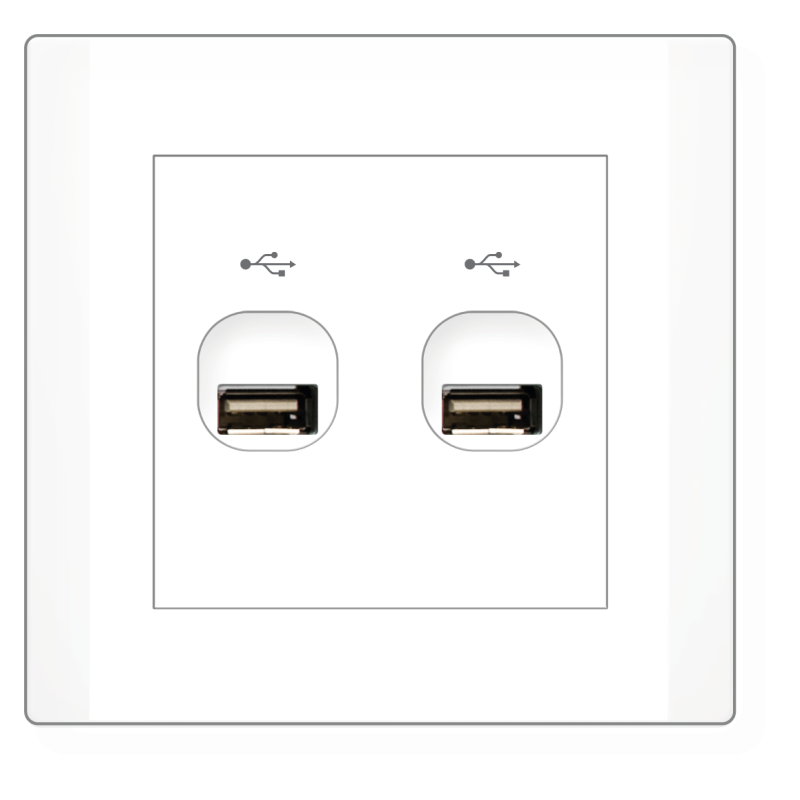 Violin 2 gang USB connection outlet