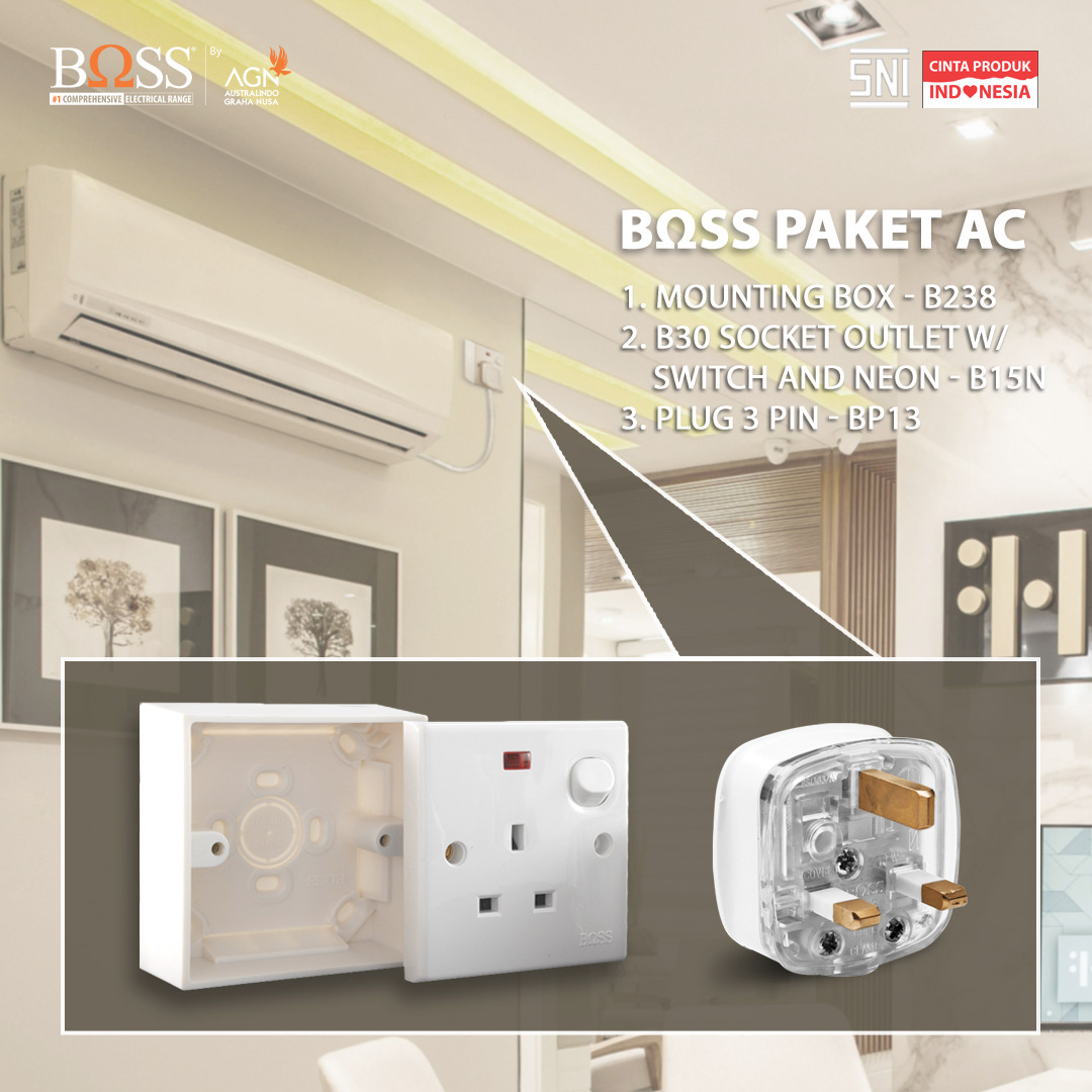 BOSS Paket AC : Mounting Box - B30 Socket Outlet w/ Switch 